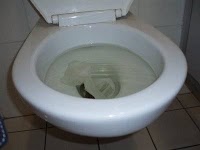 GB Bogs Plumbers (Toilet and Urinal repair specialists) 579928 Image 2